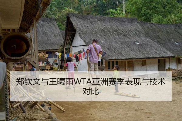 郑钦文与王曦雨WTA亚洲赛季表现与技术对比